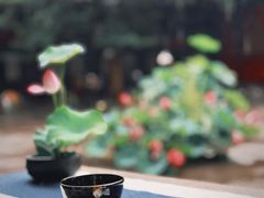 -成都市文殊院
