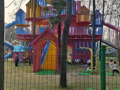 -合肥滨湖国家森林公园