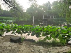 -北陵公园