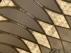 -乐天免税店(明洞店)