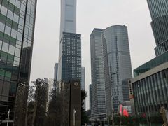 -THE WOODS 简餐 (国贸商城店)