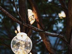 -深圳湾万象城(南山店)