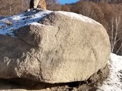 -横道河子东北虎林园