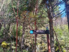 -西姆山居酒店(九寨沟沟口店)