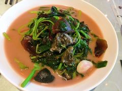 皮蛋苋菜-小芙蓉湘菜馆(易生活购物公园店)