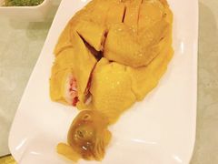 -粤秀小厨·广式早茶(辽宁路店)