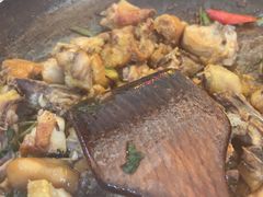 -食德喜·阳山鸡王食研基地