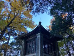 -香山公园