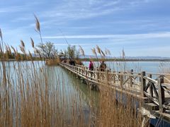 -野鸭湖国家湿地公园