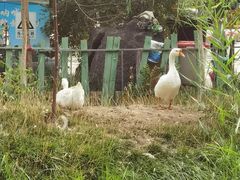 -水磨沟公园