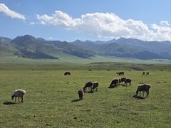 -新疆那拉提国家旅游度假区