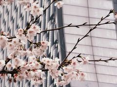 -苏州现代传媒广场商业