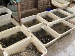 -中环花鸟鱼虫市场