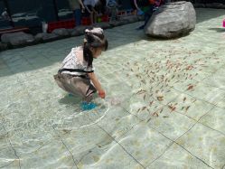 -可可天空农场(中大店)