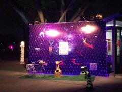 -枫花园汽车电影院(朝阳公园店)