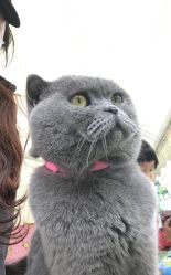 点击看大图 -萌宠亲子动物乐园(槐房万达店)