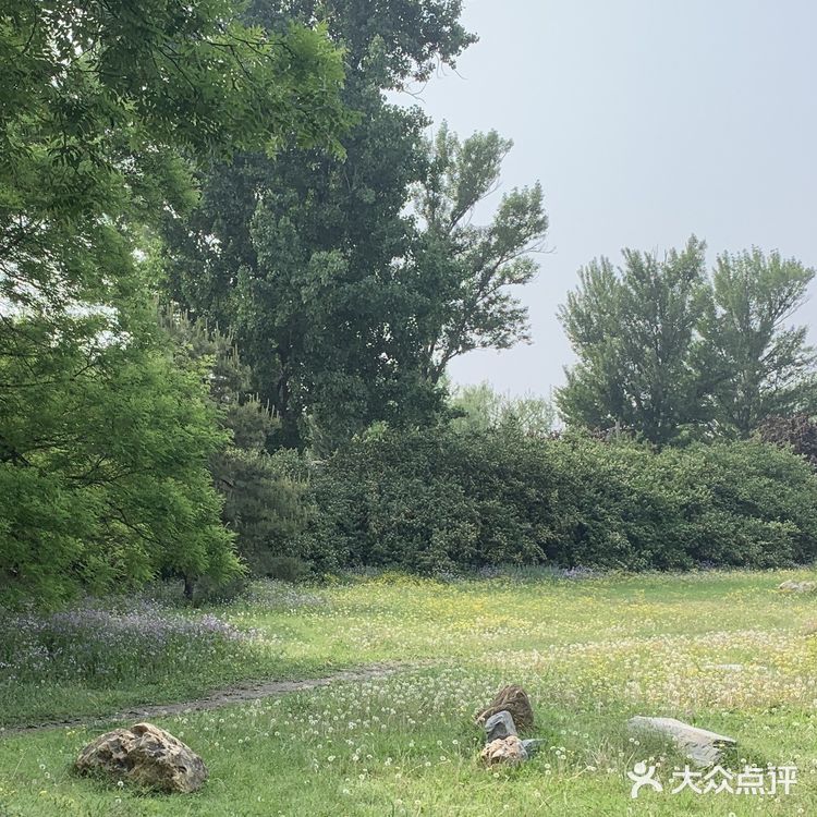 圆明圆-最美的后花园🥀🥀🥀