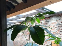 -VOYAGE COFFEE(北锣鼓巷店)