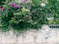 -三溪村