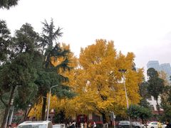 -四川大学(望江校区)