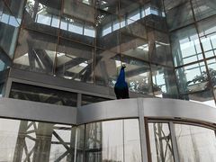 -鄂尔多斯野生动物园