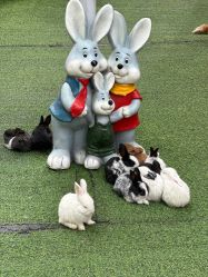 -萌宠亲子动物乐园(槐房万达店)