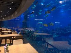 -海棠湾洲际-涛·海底餐厅·美人鱼·自助餐·海底隧道