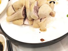-新名仕新白玉兰餐厅