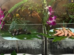 -火舞泰·泰式海鲜火锅餐厅(世纪城店)