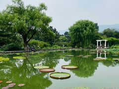 -国家植物园南园