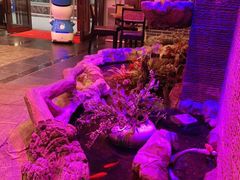 -小天鹅火锅·一线江景洪鼎旗舰店(洪崖洞店)
