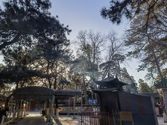 -八大处公园