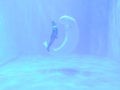 -多彩贵州城极地海洋世界