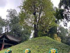 -武侯墓风景区