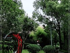 -陈家山荷花公园