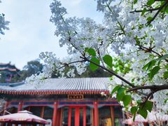 -颐和园