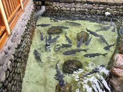 -耕渔小院·湖南鱼鲜(望城店)