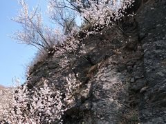 -妙峰山风景名胜区