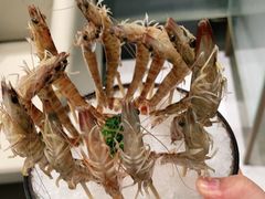 -红鼎豆捞·非遗鲍皇汤火锅(宝丰路店)