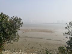 -艾溪湖湿地公园