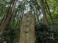 -上海共青森林公园