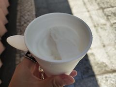 -洪馨椰子