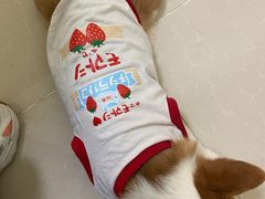 -美联众合24小时·皮肤科·外科·全科诊疗中心(华苑分院)