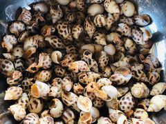 -鸿港海鲜批发市场