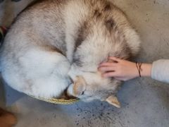 -小时光咖啡馆(北锣鼓巷店)
