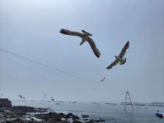-银沙滩浴场