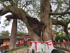 -新安江山水画廊风景区