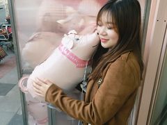门面-WHEN PIGS FLY当猪飞