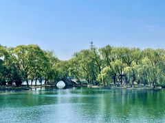 -百脉泉景区