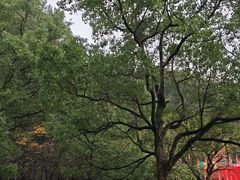 -陶祖圣境风景区